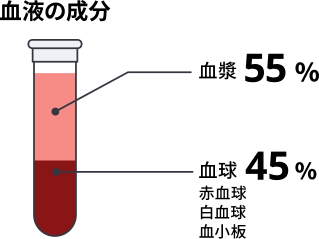 血液の成分